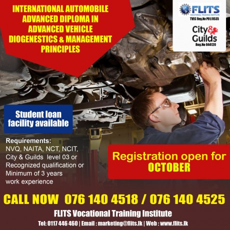 City & Guilds UK Level 2, 3& 4   in Automobile Engineering - FLITS