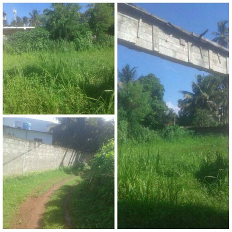 Land For Sale In Mirissa