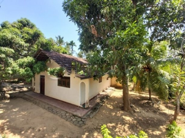 Land For Sale In Beliatta