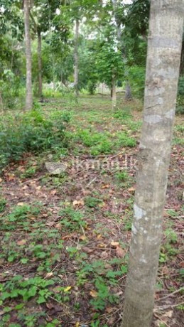 Land for Sale in Thissamaharama