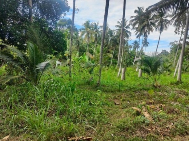 Land For Sale kegalle City
