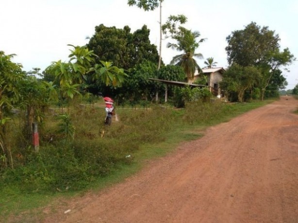 Land For Sale Kalutara