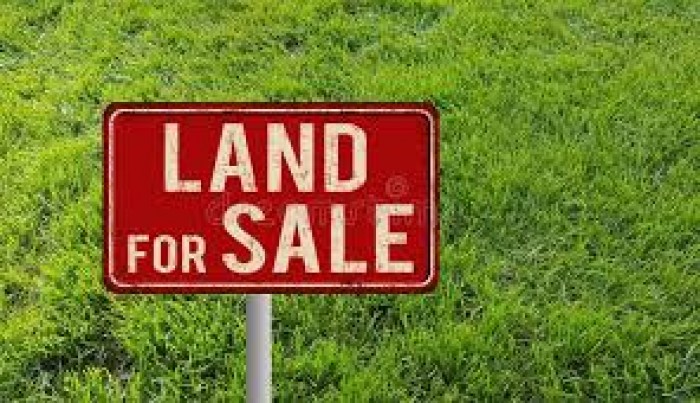 Land For Sale In Galapitamada
