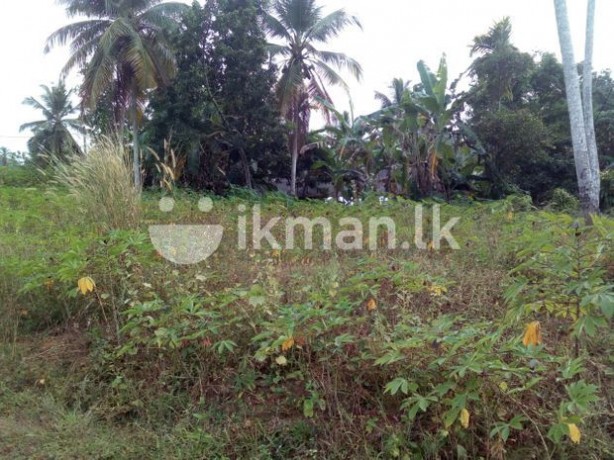 Land for Sale in Pepiliwala