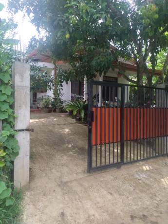 Sale House with Land Rambukkana