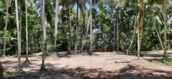 Land For Sale In Kurunegala