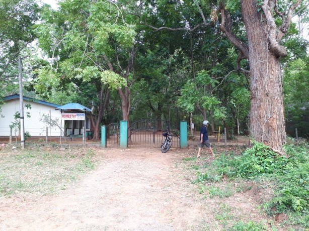 Valuable Land For Sale In Katharagama