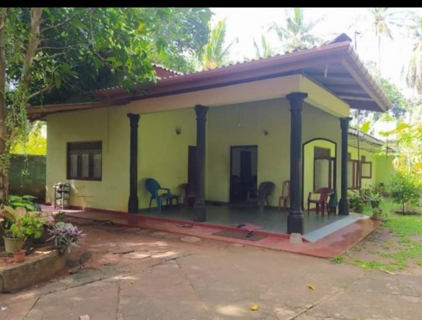 Land with House for Sale In Anuradhapura