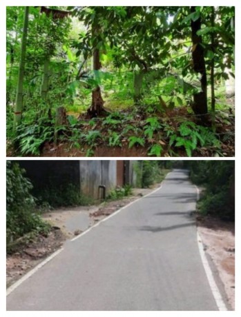 Land for Sale in Mawanella