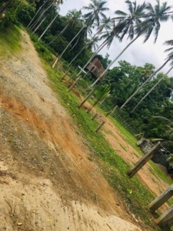 Land For Sale In Beliatta