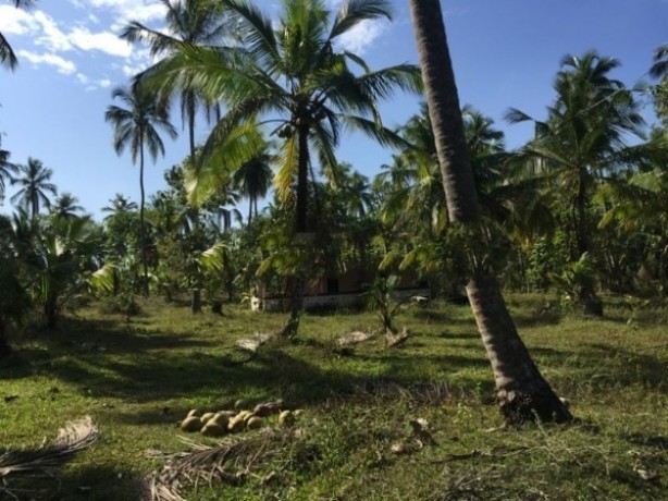 Land For Sale In Kurunegala