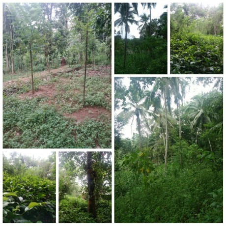 Land for Sale in Kegalle
