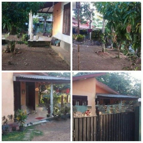 House With Land For Sale Madapatha