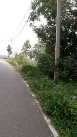Land For Sale In Nuwara Eliya