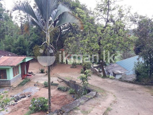 House with land for sale Keppetipola