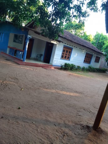 House For Sale In Etawiragollewa