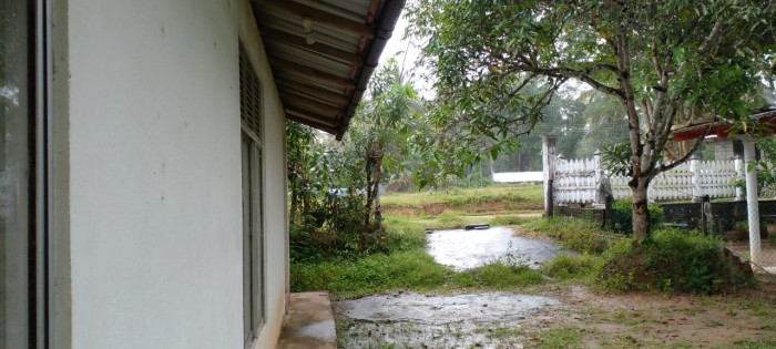 House with Land for Sale In Pokunuwita