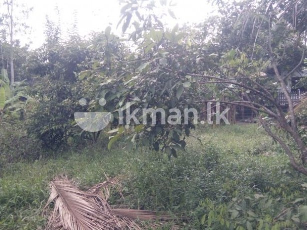 Land for Sale in Pahathgama