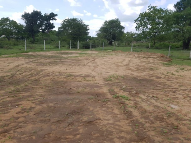 Land For Sale in Kataragama