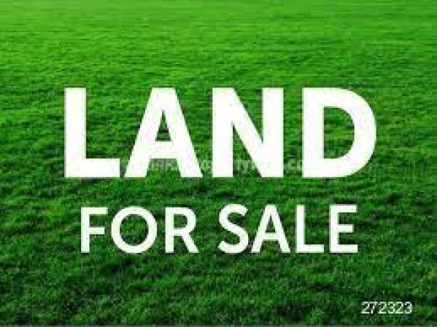 Land For Sale In Danowita