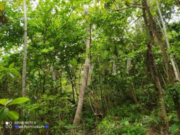 Land For Sale In Tangalla