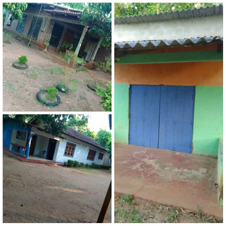 House For Sale In Etawiragollewa