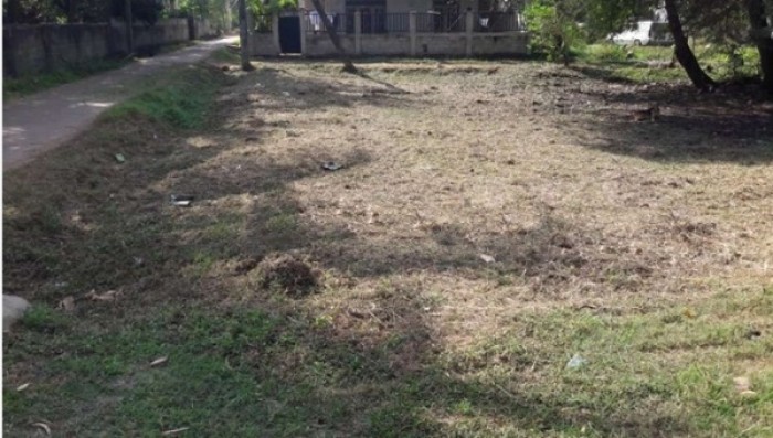 Land For Sale Chilaw