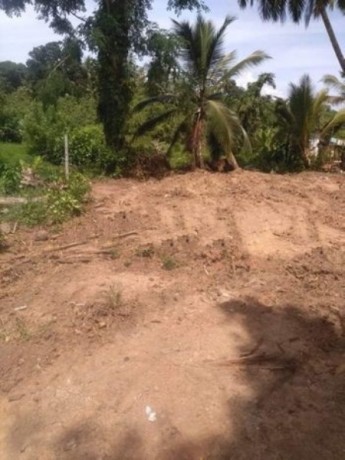 Land For Sale Elpitiya