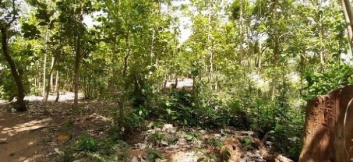 Land For Sale In Anuradhapura