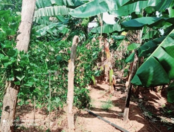 Land For Sale In Hambantota