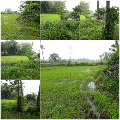 Land for sale in Polonnaruwa