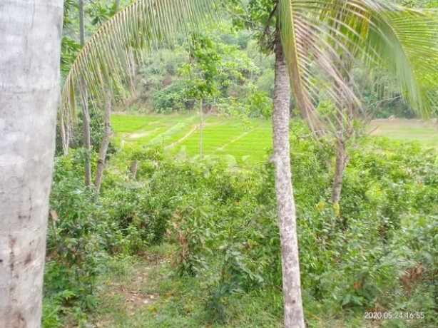 Land for sale in  Weligama