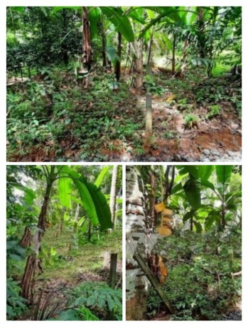 Land for Sale in Mawanella