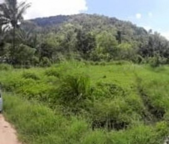 Land for Sale In Wariyapola