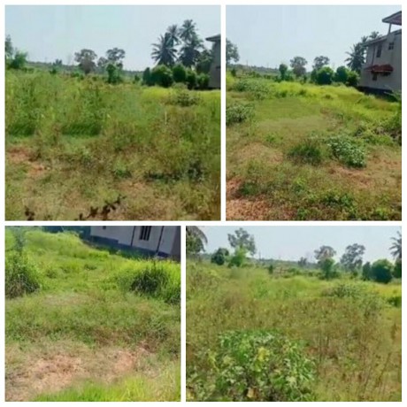 Land For Sale In Chilaw