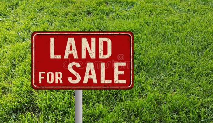Land for Sale residential purpose, peaceful surrounding