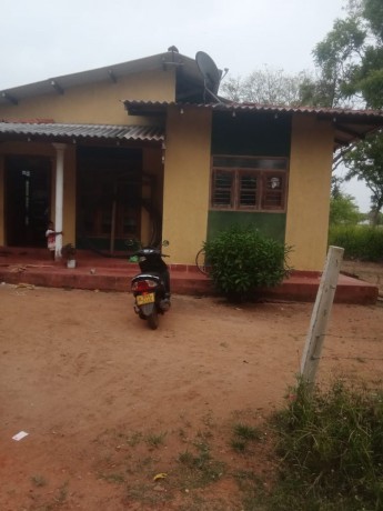 Land With House For Sale Anuradhapura