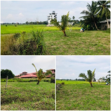 Land For Sale In Anuradhapura