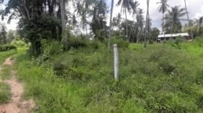 Land for Sale In Wariyapola