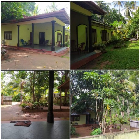 Land with House for Sale In Anuradhapura