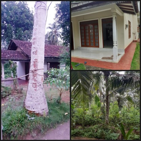 House For Sale in Bandaragama