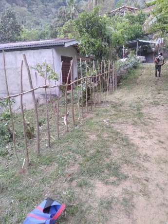 Valuable Land For Sale in Matale