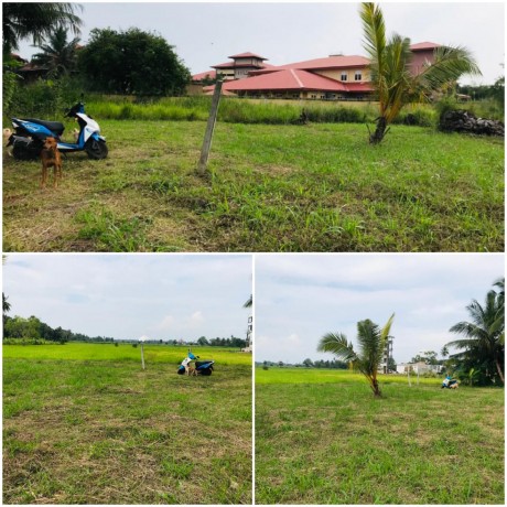 Land For Sale In Anuradhapura