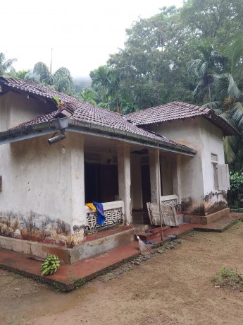 House For Sale In Pallekandha
