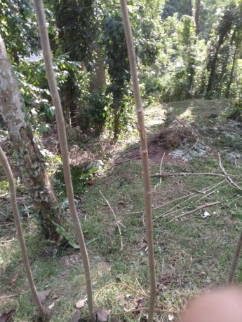 Valuable Land For Sale in Matale