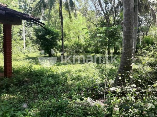 Land for Sale in Udawalawa