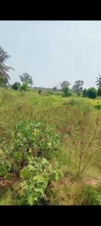 Land For Sale In Chilaw