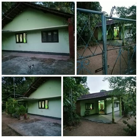 House for Sale Hingurakgoda