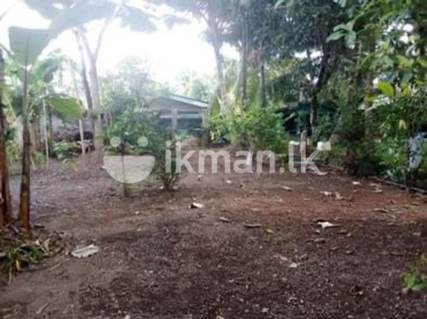 Land for Sale in Kadawatha