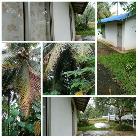 House with Land for Sale In Pokunuwita